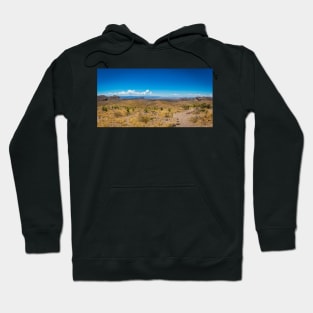 Sotol in the Chihuahuan Desert Hoodie